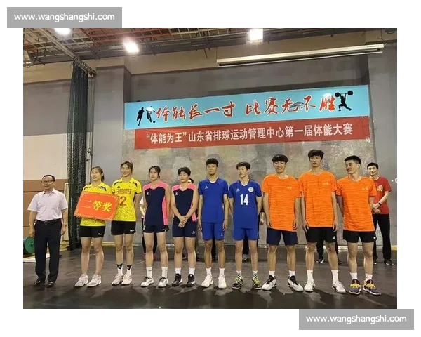 体育竞赛组织与管理模式创新研究及实践探索 体育竞赛组织与管理模式创新研究及实践探索