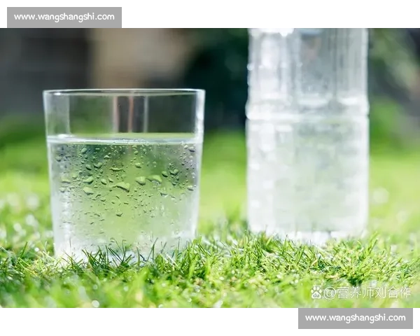 科学水分补给策略与日常饮水习惯优化指南 科学水分补给策略与日常饮水习惯优化指南